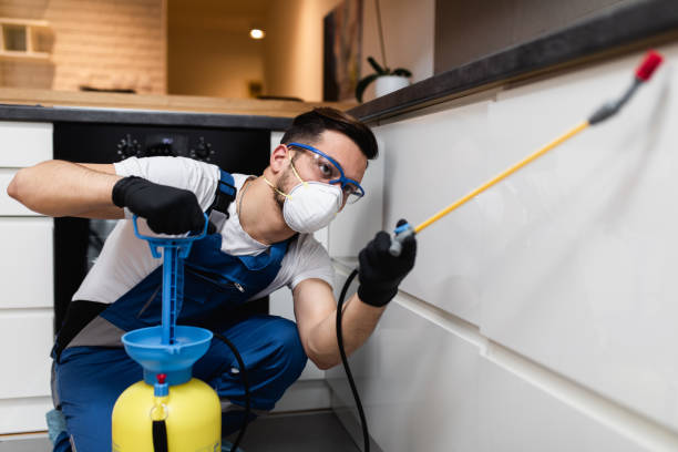 Best Flea Control Services  in Barberton, OH