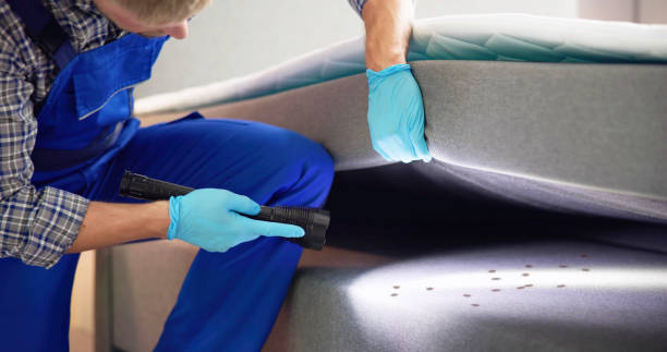 Best Exterminator Services  in Barberton, OH