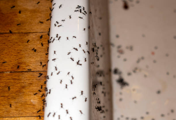 Barberton, OH Pest Control Company
