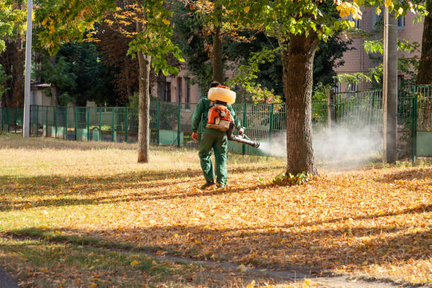 Best Ant Control Services  in Barberton, OH